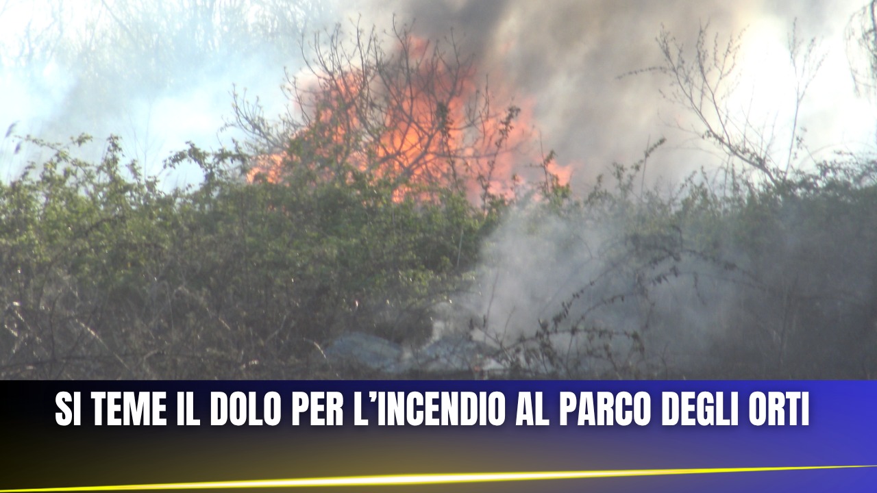 SI TEME IL DOLO PER L'INCENDIO AL PARCO DEGLI ORTI