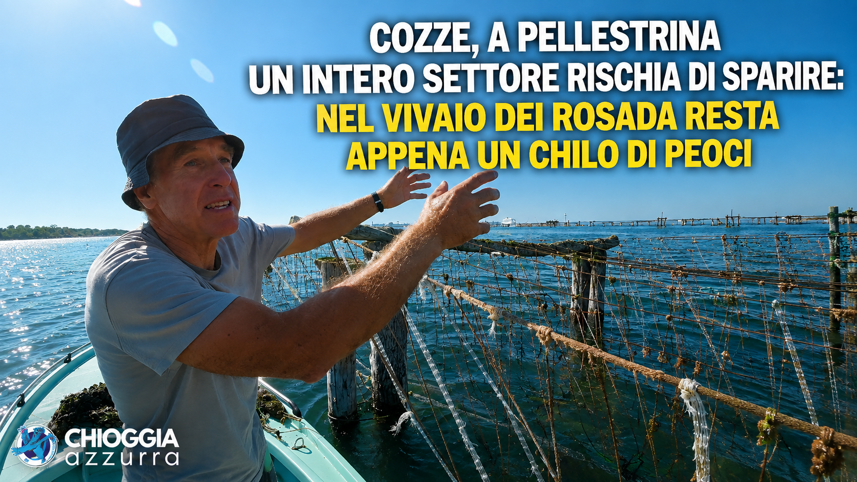 COZZE, A PELLESTRINA UN INTERO SETTORE RISCHIA DI SPARIRE: NEL VIVAIO DEI ROSADA RESTA APPENA UN CHILO DI PEOCI