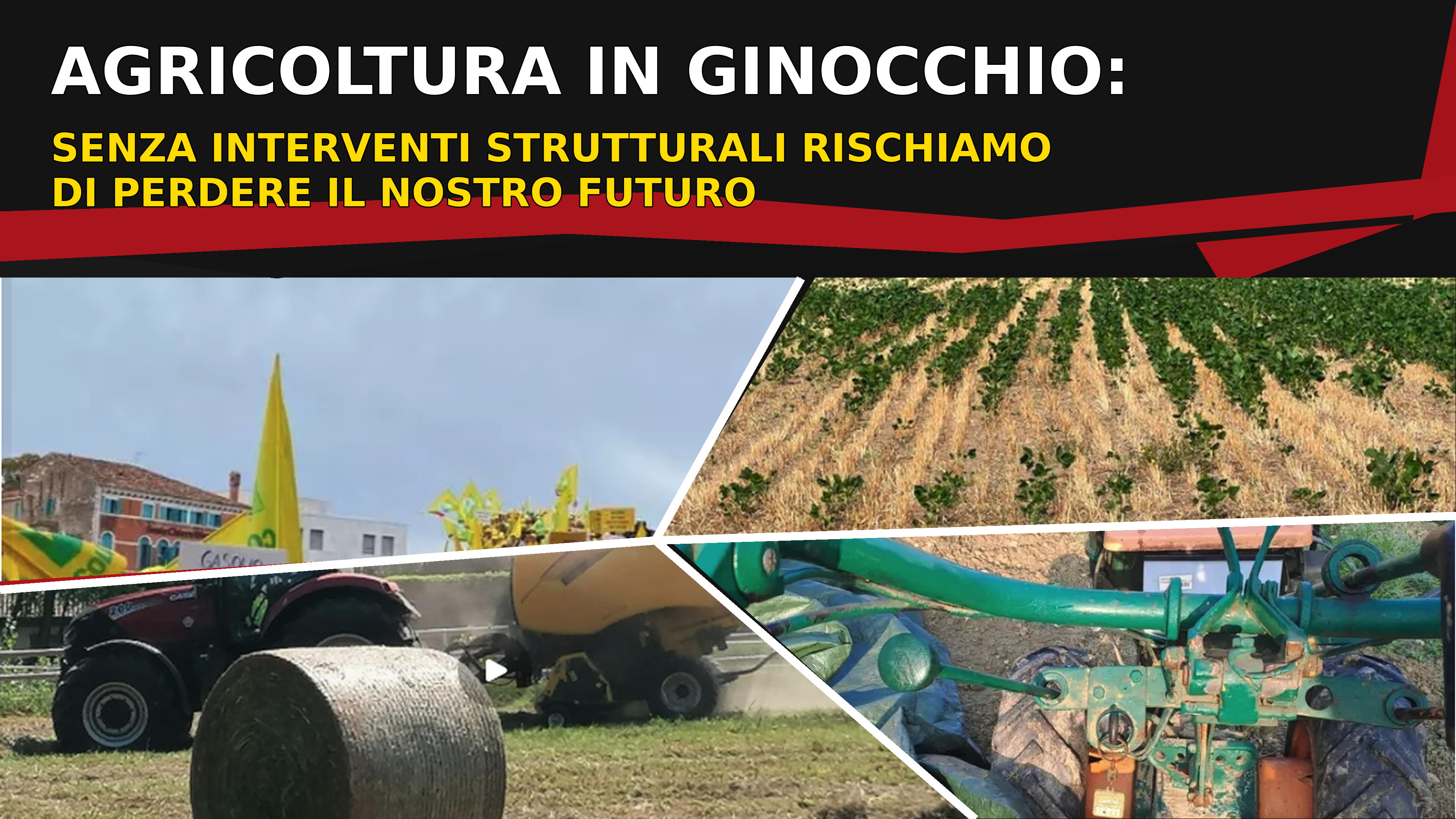 AGRICOLTURA IN GINOCCHIO: SENZA INTERVENTI STRUTTURALI RISCHIAMO DI PERDERE IL NOSTRO FUTURO