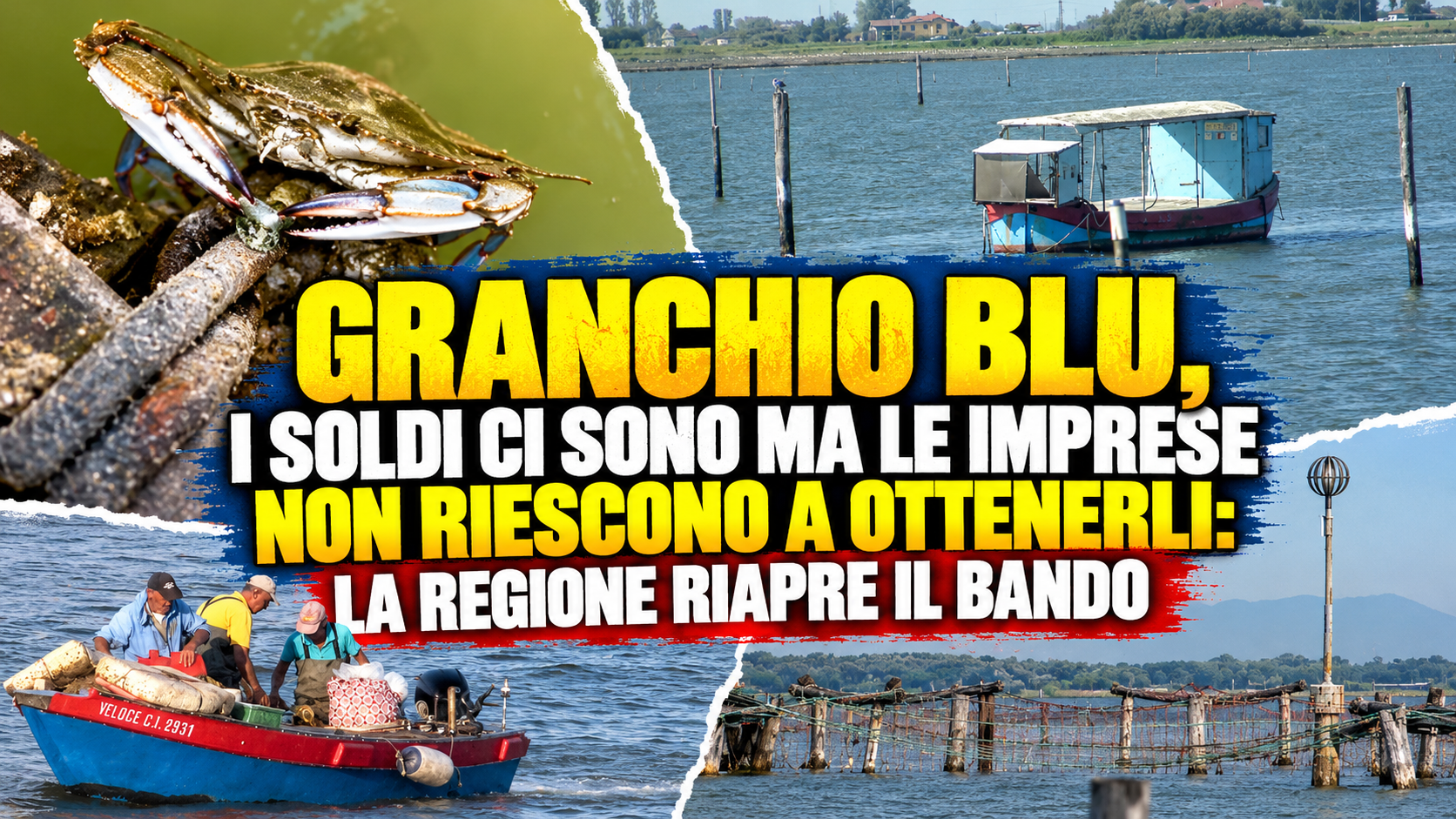 GRANCHIO BLU, I SOLDI CI SONO MA LE IMPRESE NON RIESCONO A OTTENERLI: LA REGIONE RIAPRE IL BANDO