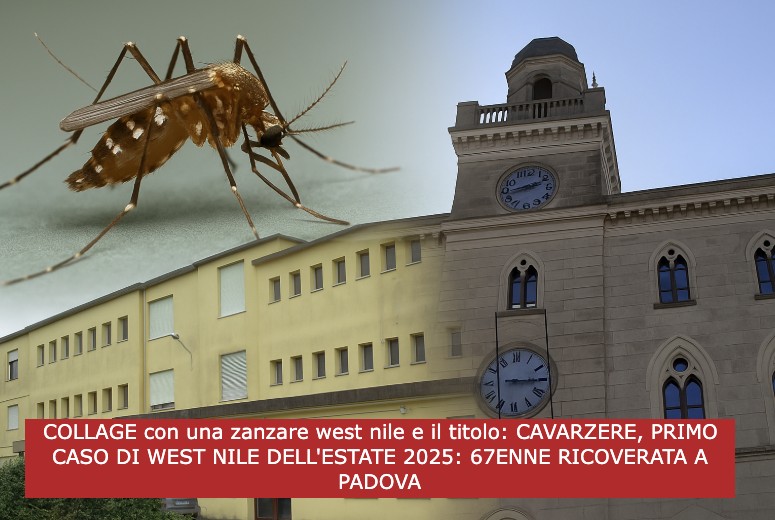 Redazione Generale