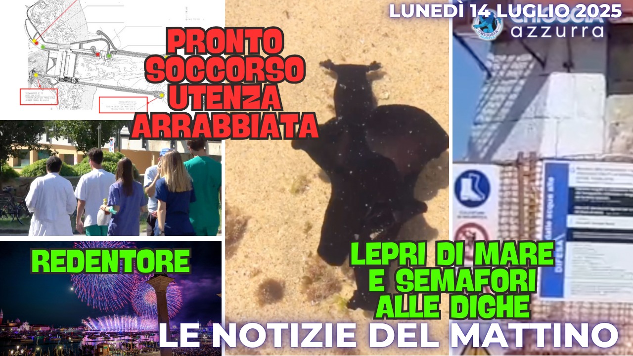 COSA C'E' DI NUOVO - IL NOTIZIARIO DI CHIOGGIA AZZURRA DI OGGI, LUNEDI 14 LUGLIO 2025