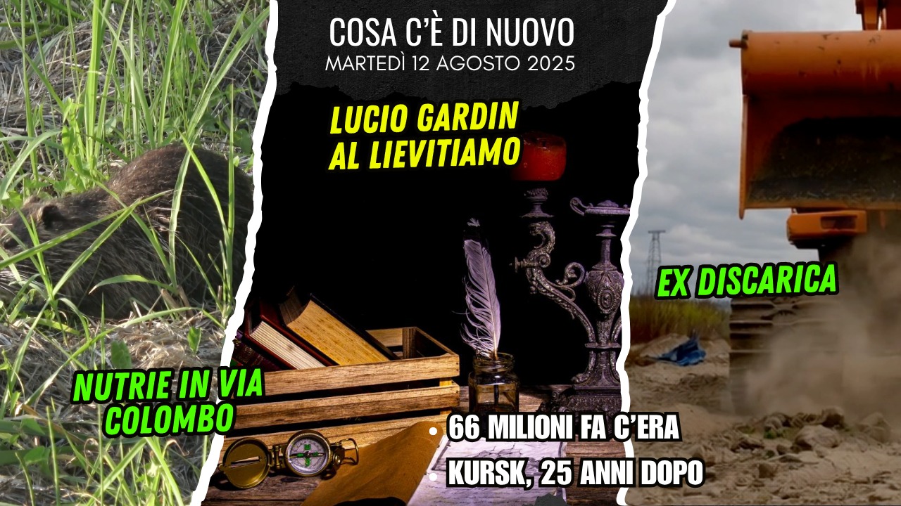 COSA C'E' DI NUOVO - IL NOTIZIARIO DI CHIOGGIAAZZURRA di oggi, martedì 12 agosto 2025