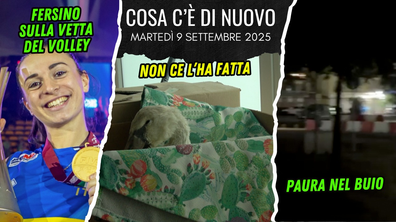 COSA C'E' DI NUOVO - IL NOTIZIARIO DI CHIOGGIAAZZURRA DI OGGI, 9 settembre 2025 